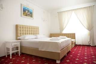 Мини-отель Bavaria Гатное Большой двухместный номер с 1 кроватью-2